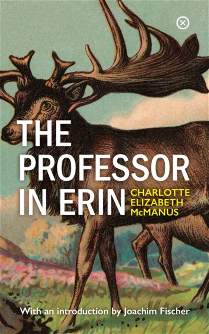 The Professor In Erin/Product Detail/General Fiction Books