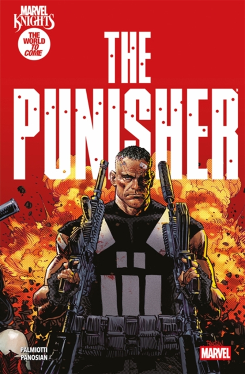 Marvel Knights: Punisher/Product Detail/Graphic Novels