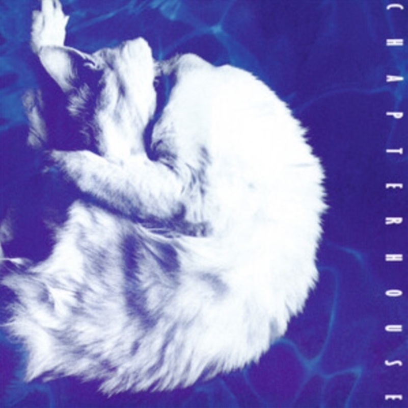 Whirlpool/Product Detail/Rock/Pop