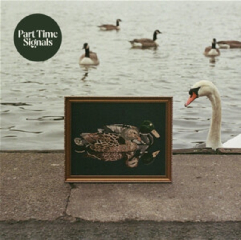 Ducks Back / Baby/Product Detail/Rock/Pop