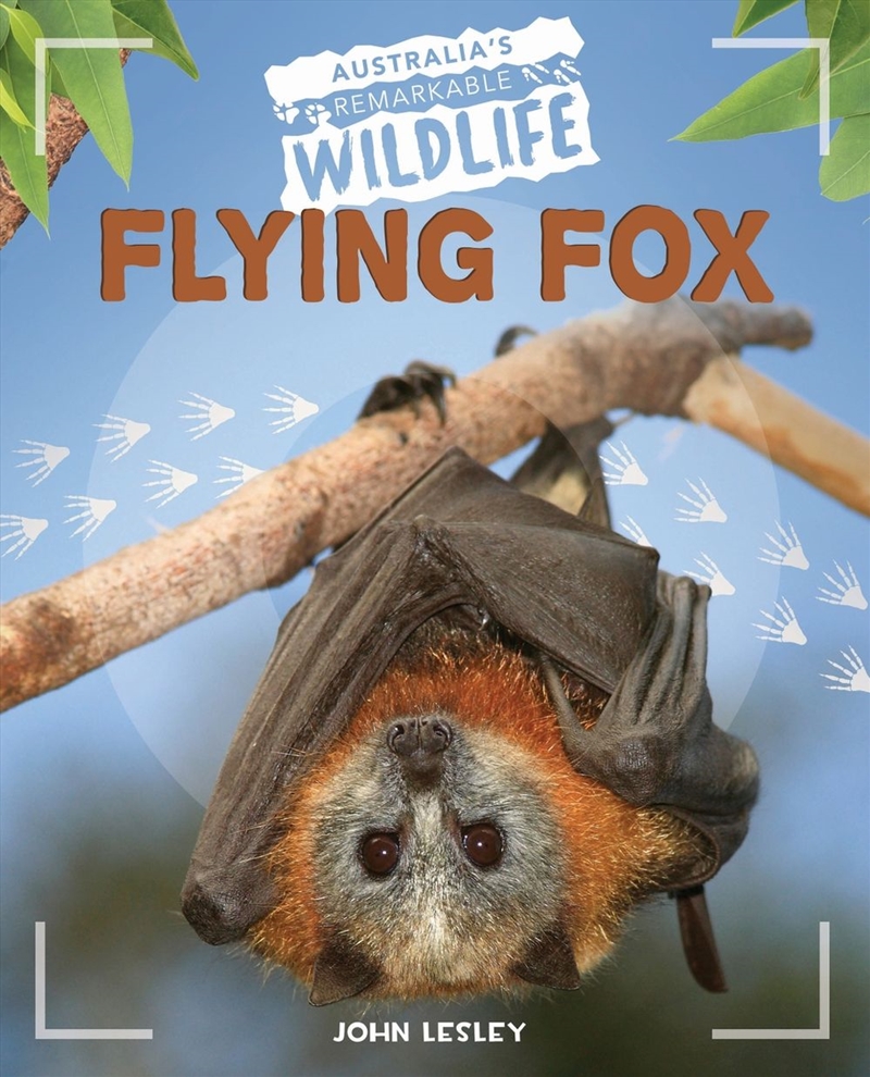 Flying Fox/Product Detail/Childrens