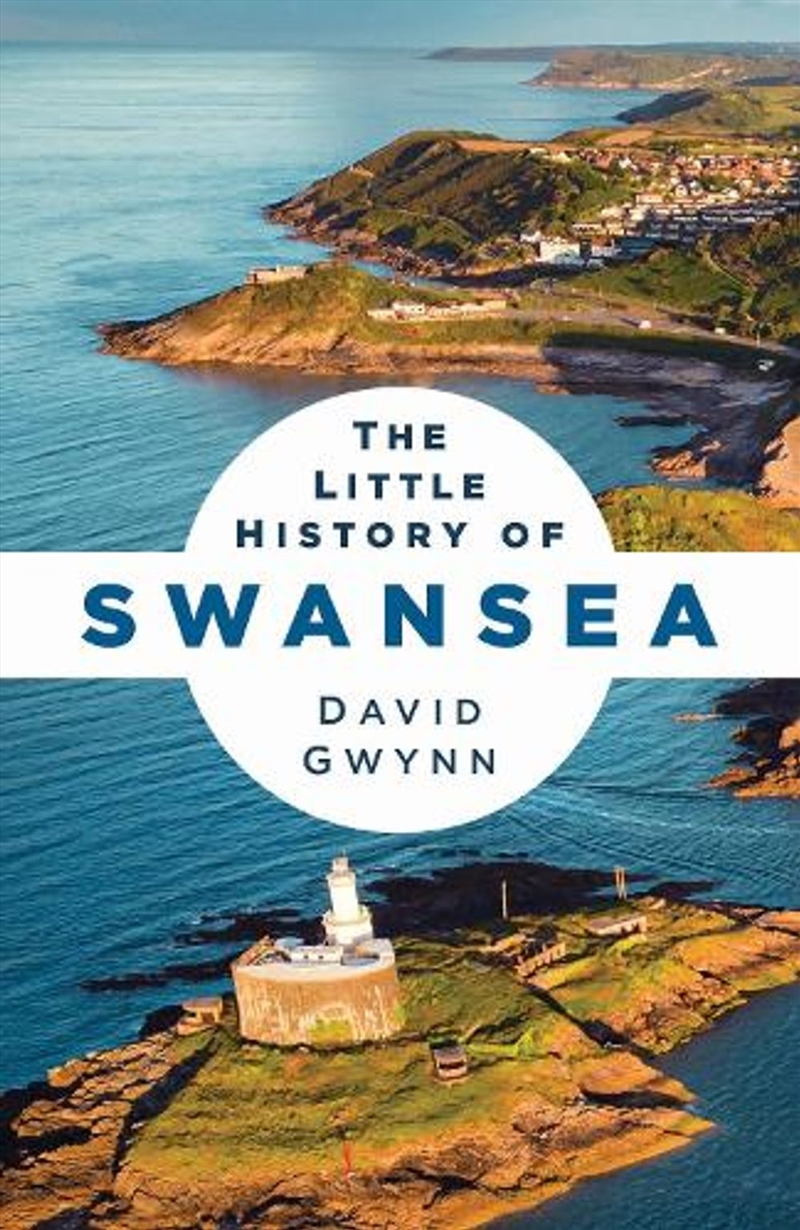 The Little History Of Swansea/Product Detail/History