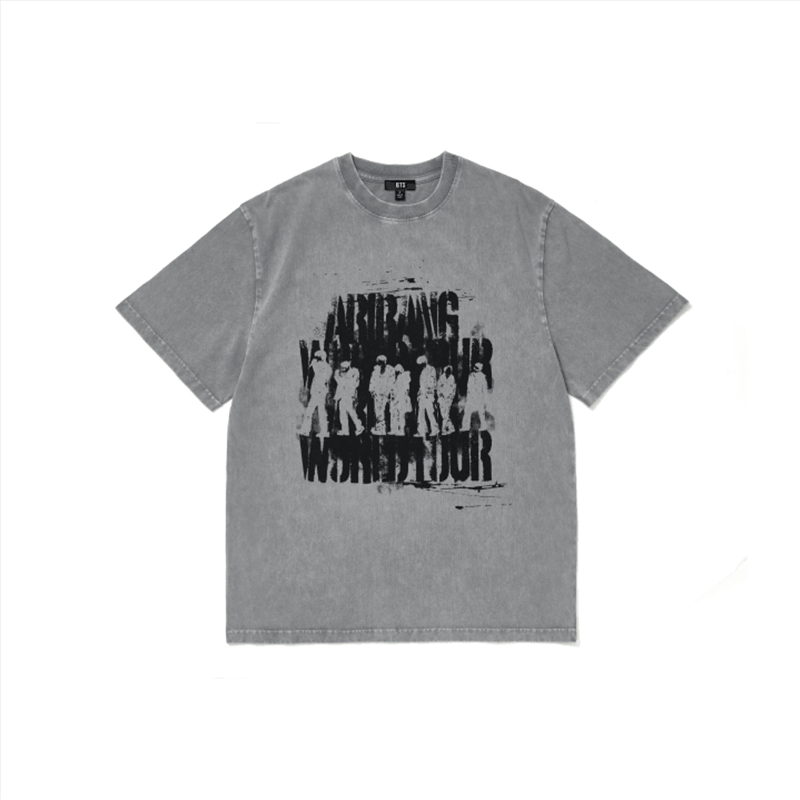 Arirang World Tour 2nd Drop Official Md S/S Photo T-Shirt (Gray) - L/Product Detail/KPOP Merch