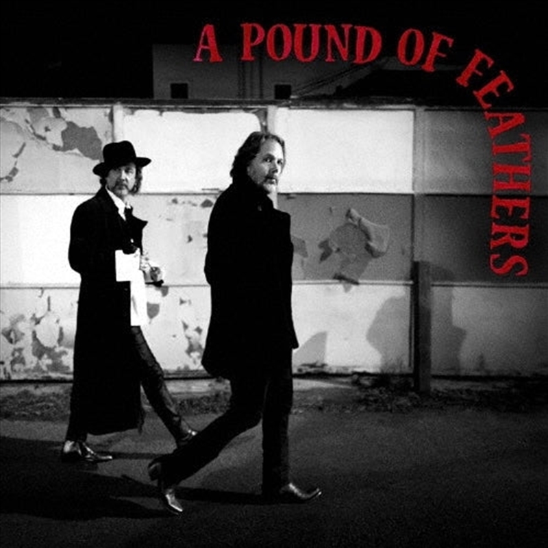 A Pound Of Feathers: Limited Edition/Product Detail/Rock/Pop