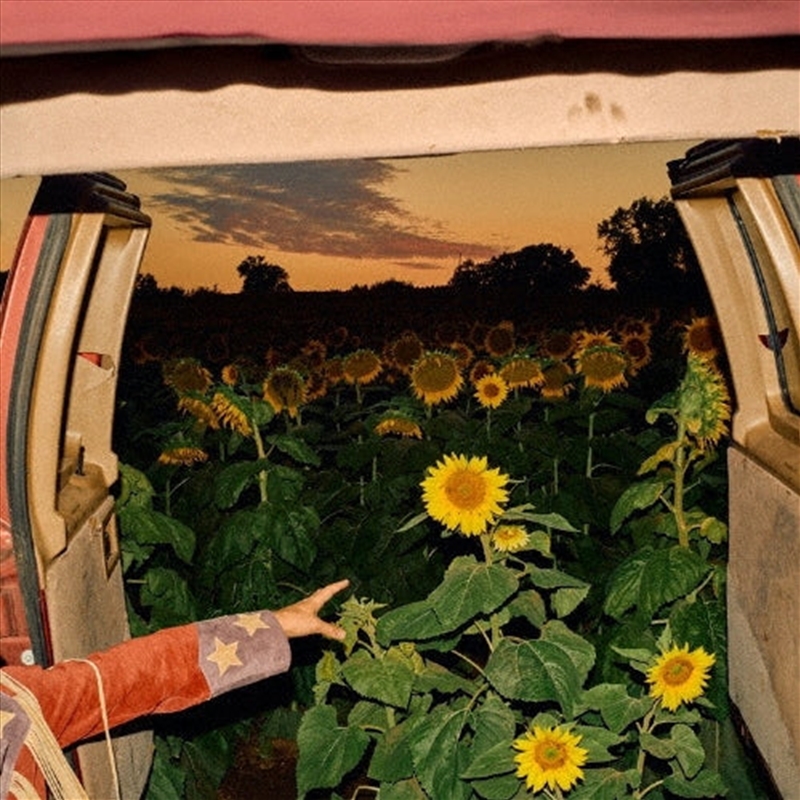 Little Wide Open: Limited Edition/Product Detail/Rock/Pop