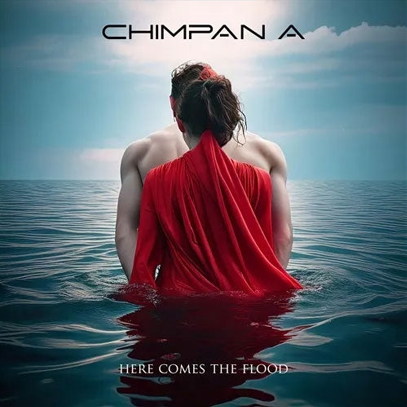 Here Comes The Flood Ep/Product Detail/Rock/Pop
