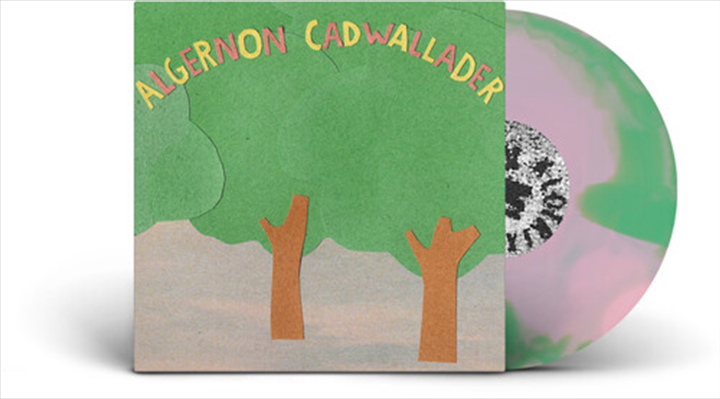 Some Kind Of Cadwallader/Product Detail/Rock/Pop