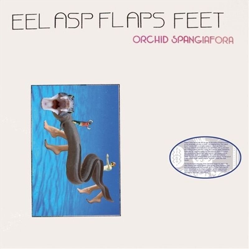 Eel Asp Flaps Feet/Product Detail/Rock/Pop