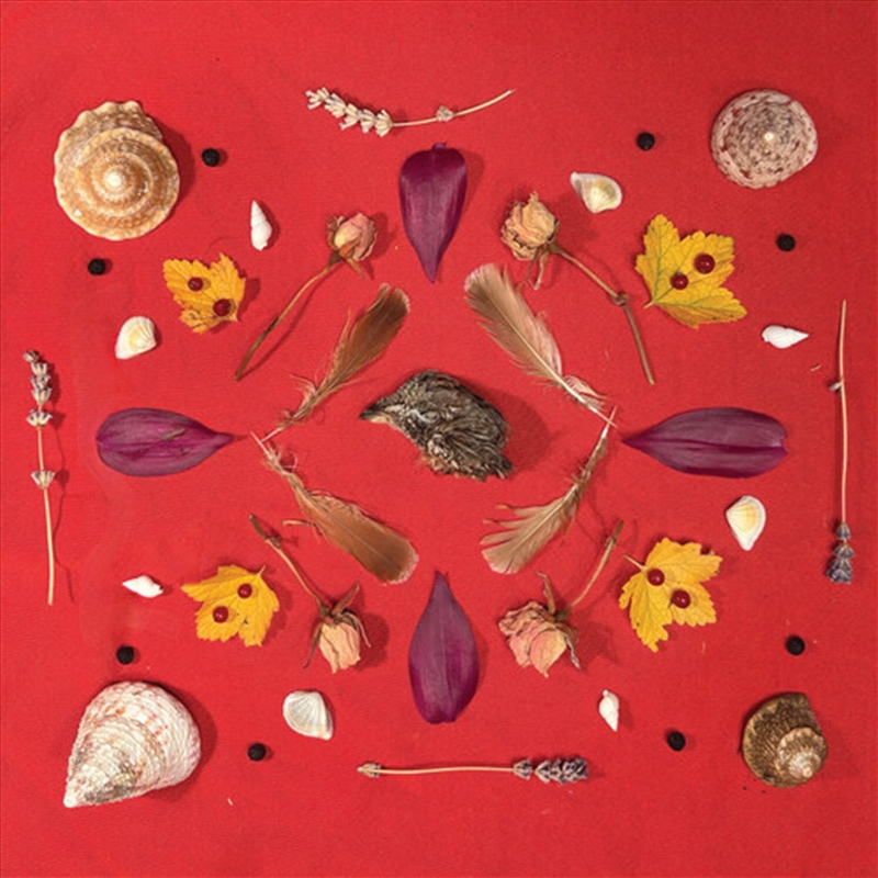 Grouse Head Talisman/Product Detail/Rock/Pop