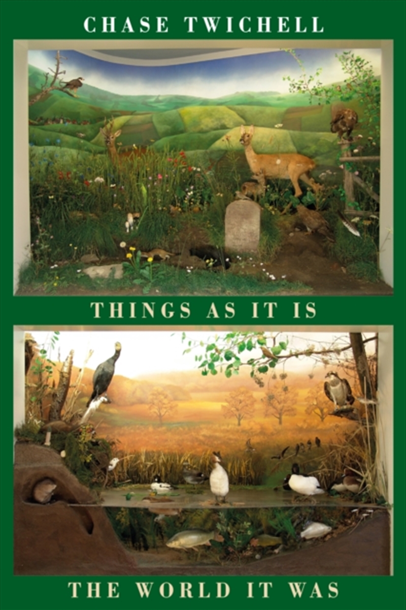 Things as It Is  The World It Was/Product Detail/Literature & Poetry