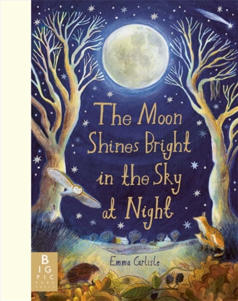 The Moon Shines Bright in the Sky at Night/Product Detail/Early Childhood Fiction Books