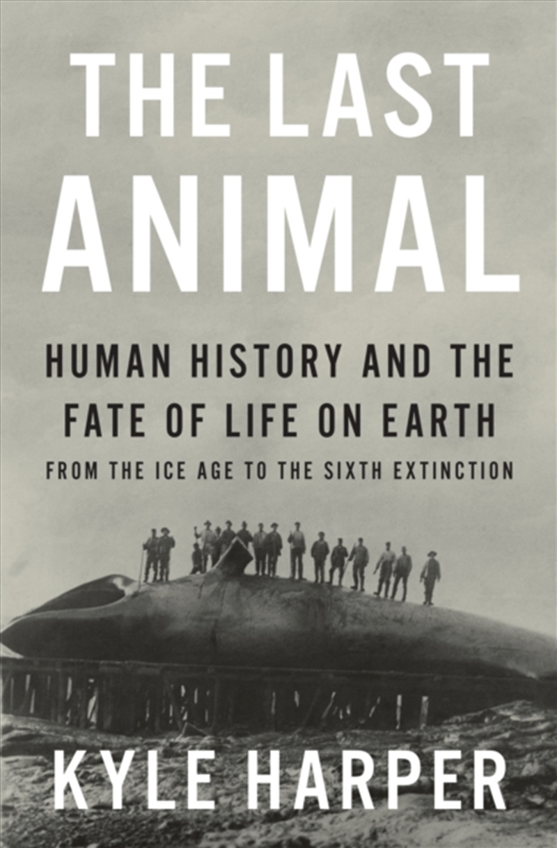 The Last Animal : Human History and the Fate of Life on Earth from the Ice Age to the Sixth Extincti/Product Detail/Science