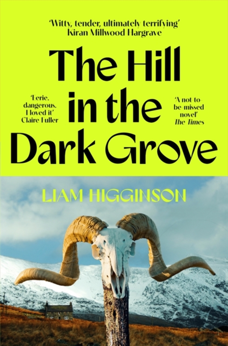 The Hill in the Dark Grove/Product Detail/Thrillers & Horror Books