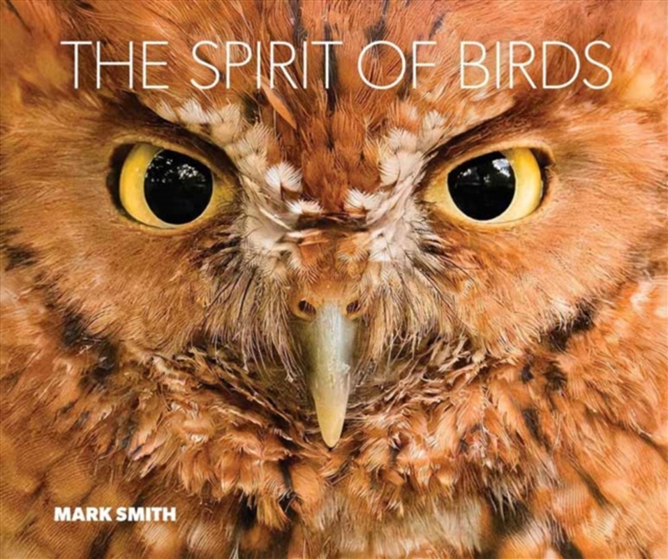 The Spirit of Birds/Product Detail/Animals & Nature