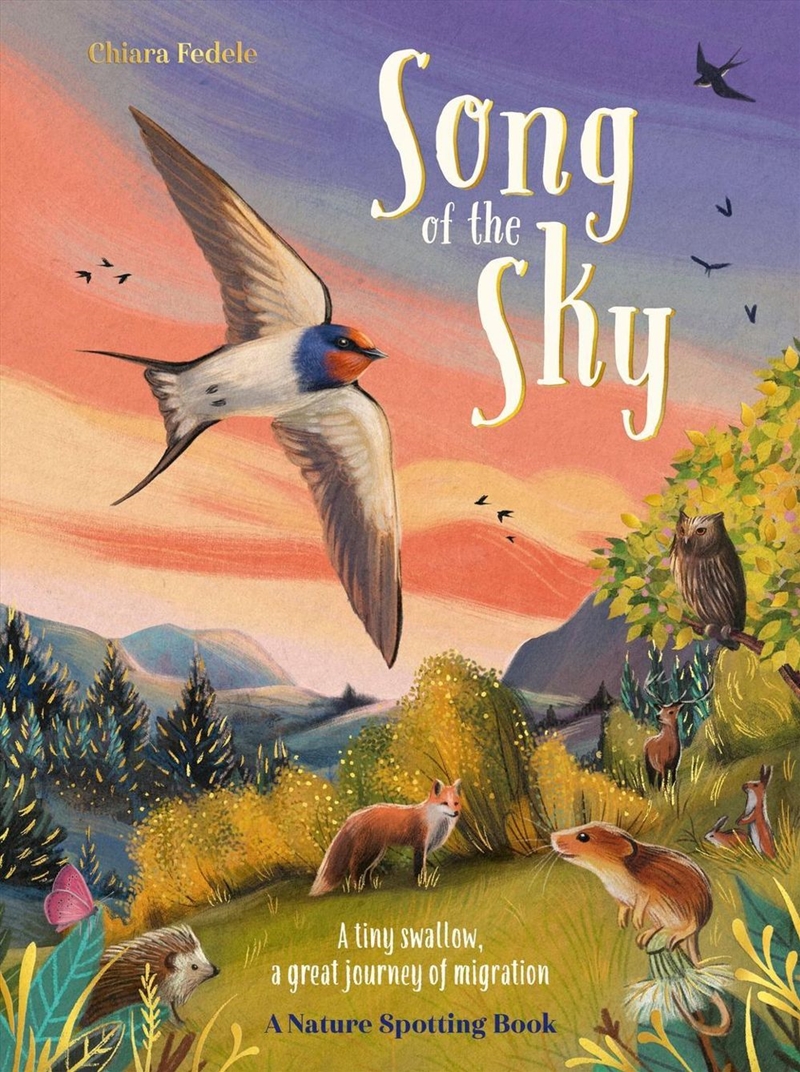 Song of the Sky/Product Detail/Early Childhood Fiction Books