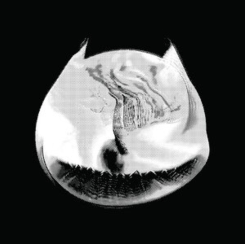 Tape Compilation: Vol. 1. 2. 3/Product Detail/Punk