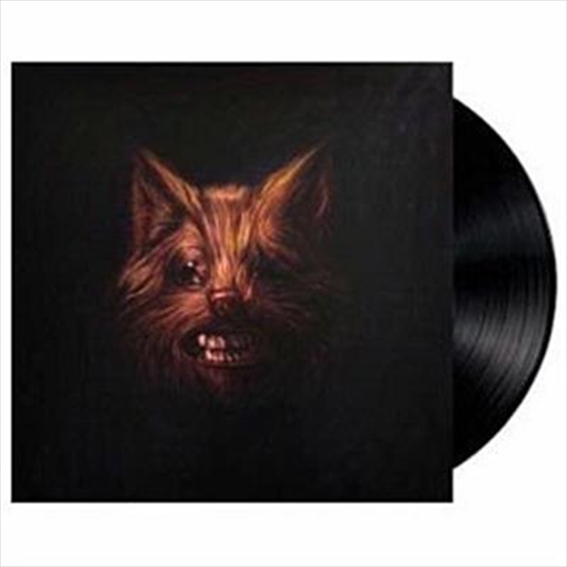 Seer/Product Detail/Rock/Pop