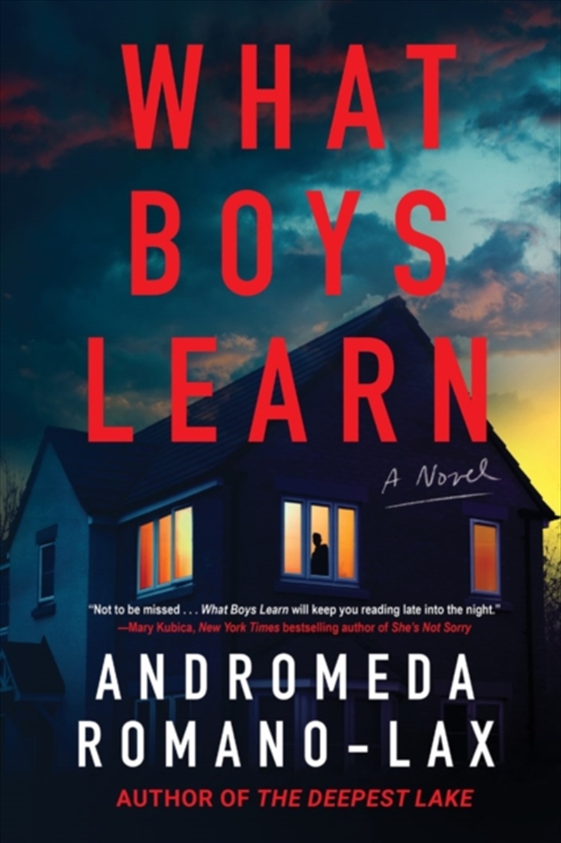 What Boys Learn/Product Detail/Crime & Mystery Fiction