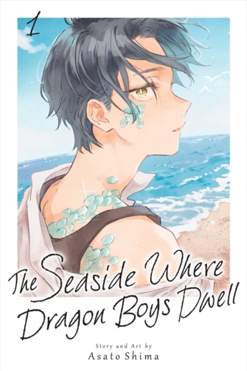 The Seaside Where Dragon Boys Dwell, Vol. 1 : Volume 1/Product Detail/Graphic Novels