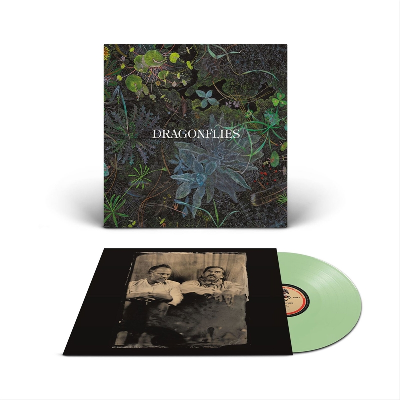 Dragonflies/Product Detail/Rock/Pop