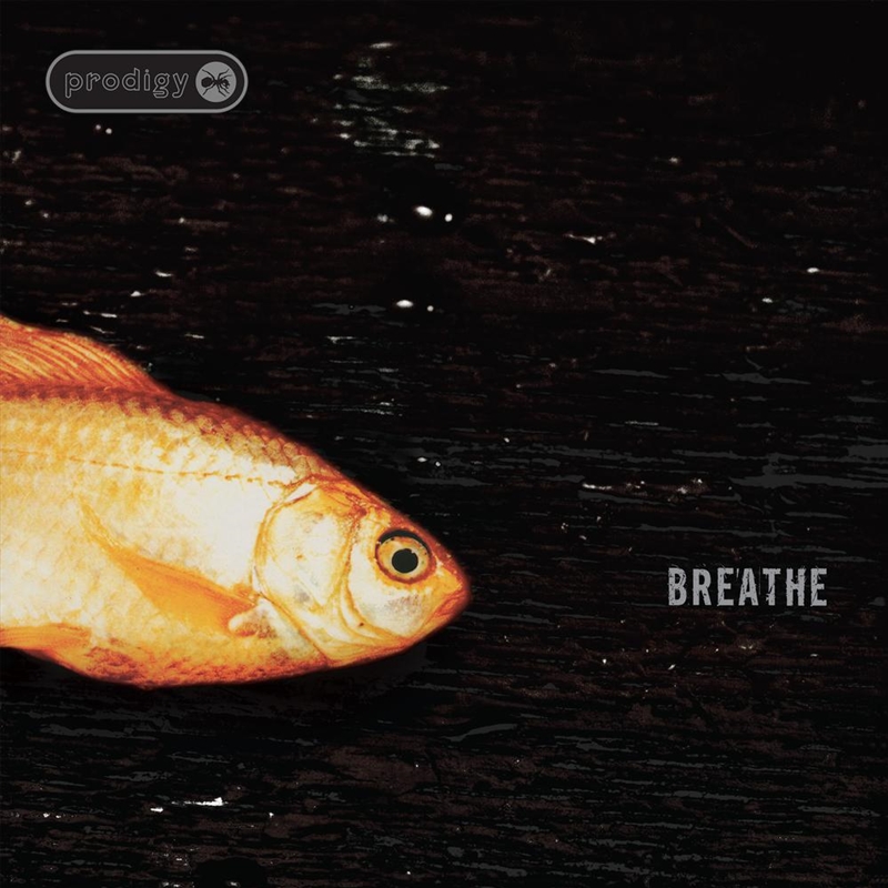 Breathe - X30 Vinyl Edition/Product Detail/Dance