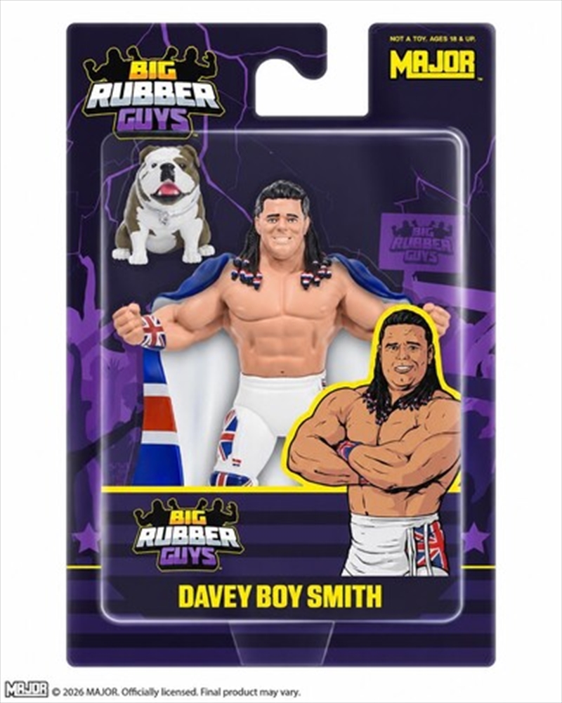 Davey Boy Smith 8 In Figure/Product Detail/Figurines