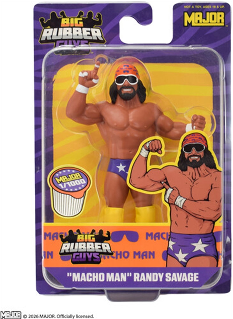 Macho Man Savage (Purple)/Product Detail/Figurines