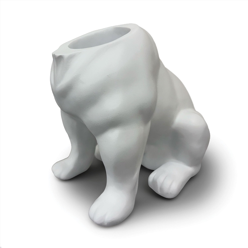 Urban Attitude Maggie Bulldog Planter - Matte White/Product Detail/Homewares