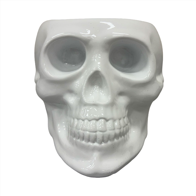 Urban Attitude Skull Statue - Matte White/Product Detail/Statues