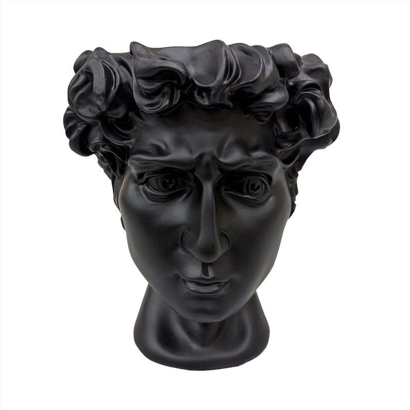 Urban Attitude David Head Planter - Matte Black/Product Detail/Homewares