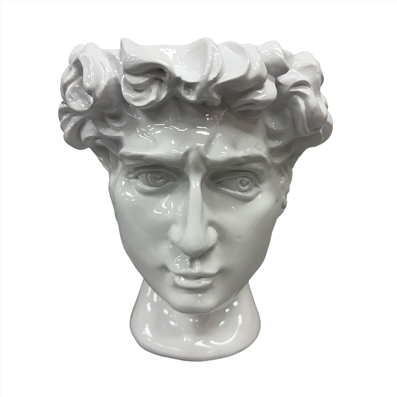 Urban Attitude David Head Planter - Matte White/Product Detail/Homewares