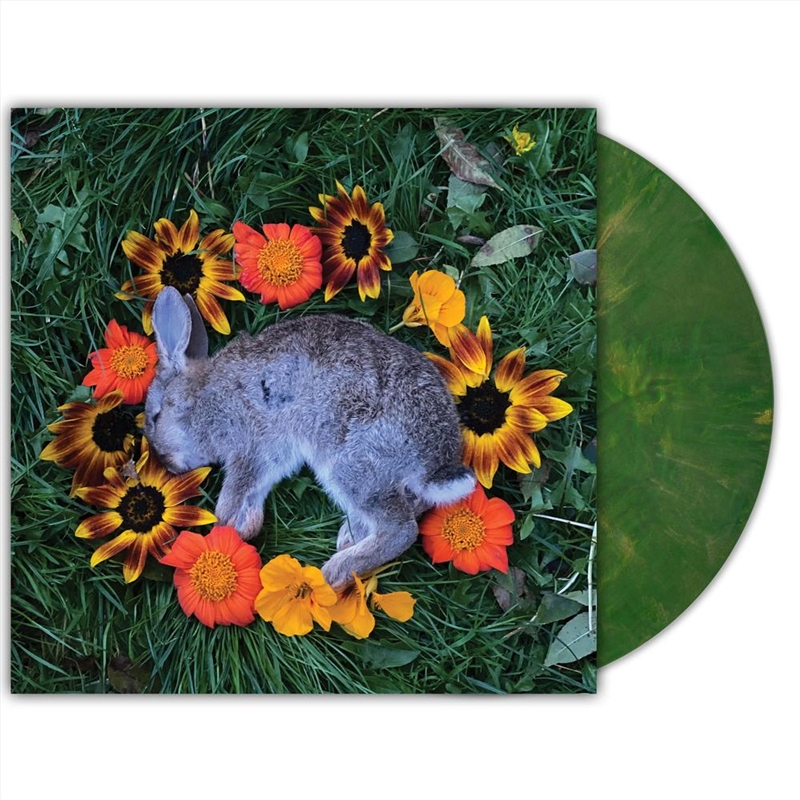 Your Time To Shine - Copper Emerald Vinyl/Product Detail/Rock/Pop