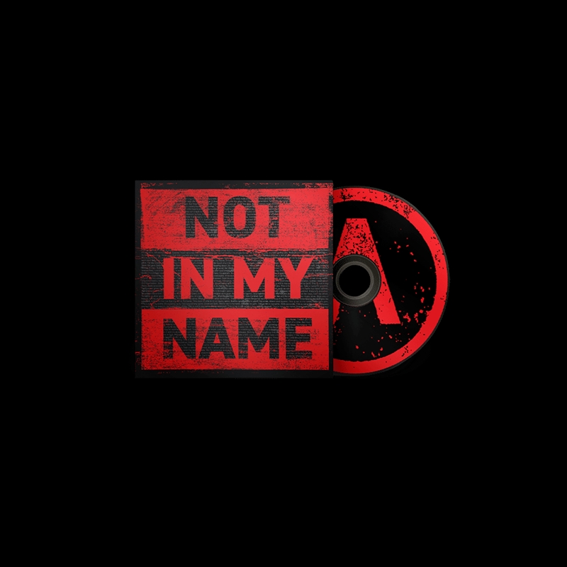 Not In My Name/Product Detail/Rock/Pop
