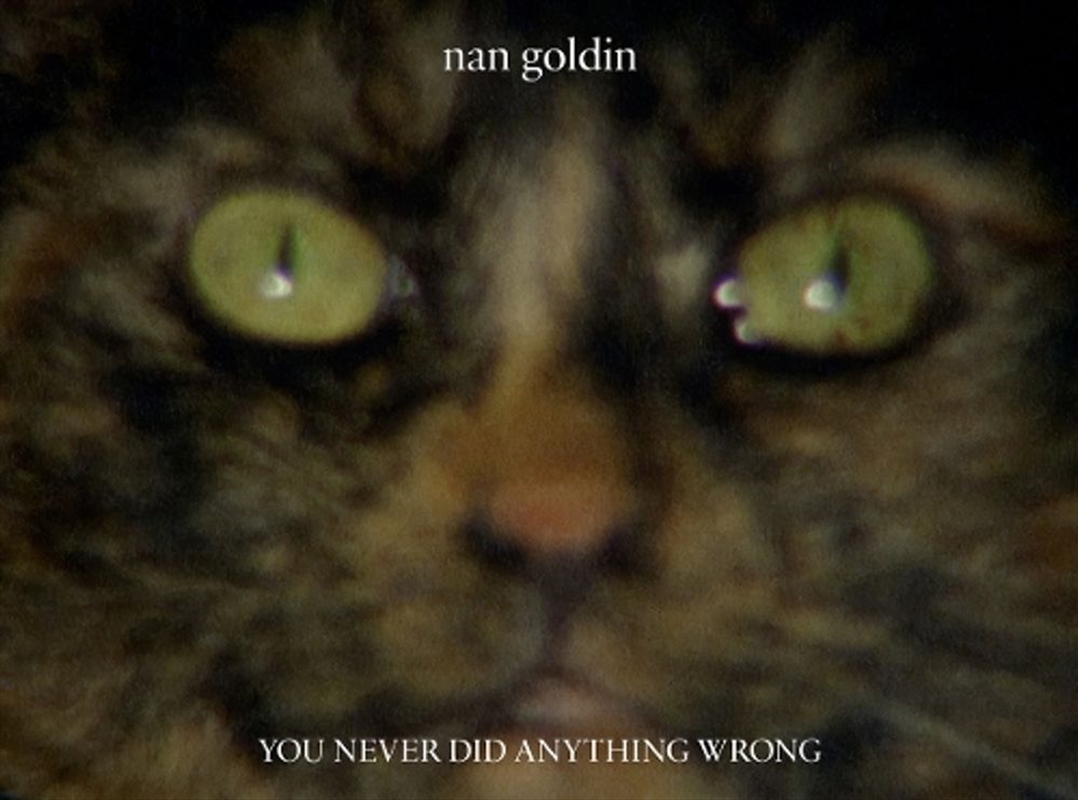 Nan Goldin : You Never Did Any/Product Detail/Photography