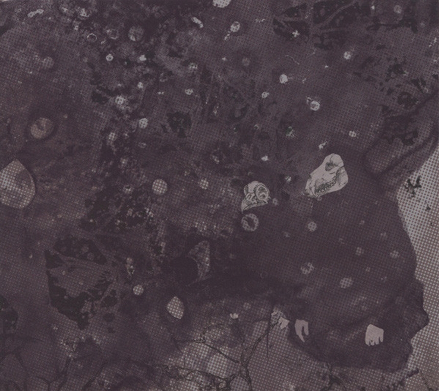 Razed To The Ground/Product Detail/Rock/Pop