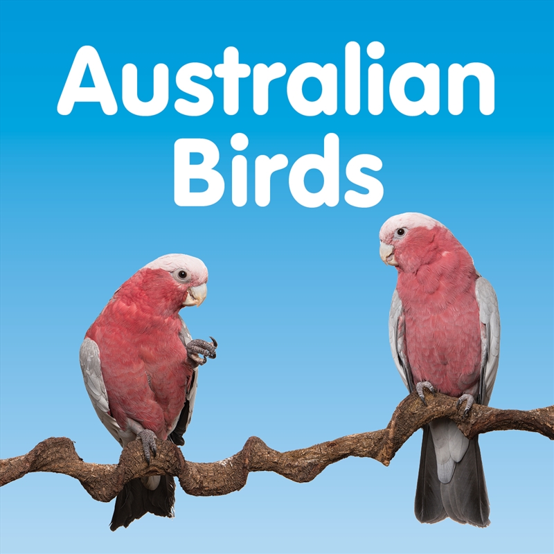 Australian Birds/Product Detail/Animals & Nature
