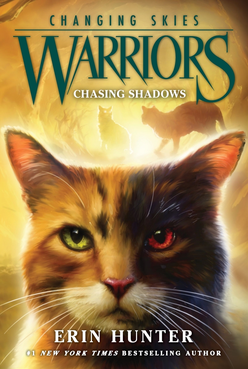 Warriors Changing Skies #3 Chasing Shadows/Product Detail/Childrens Fiction Books