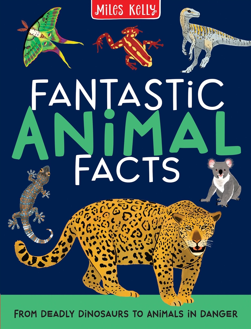 Fantastic Animal Facts/Product Detail/Childrens