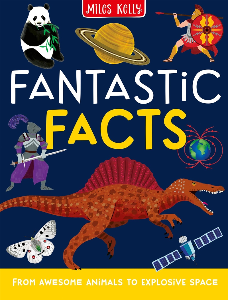 Fantastic Facts: From Awesome Animals To Explosive Space/Product Detail/Childrens