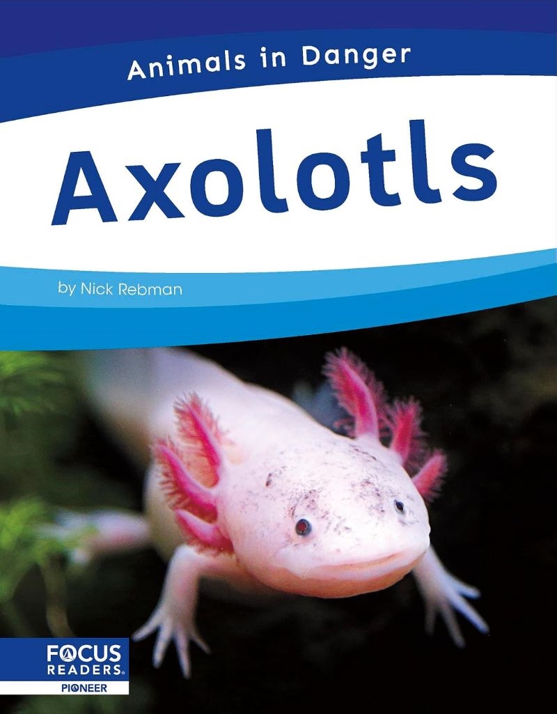 Animals In Danger: Axolotls/Product Detail/Childrens