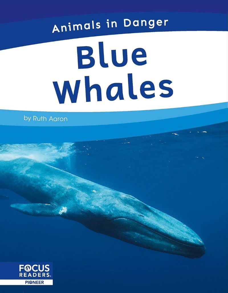 Animals In Danger: Blue Whales/Product Detail/Childrens