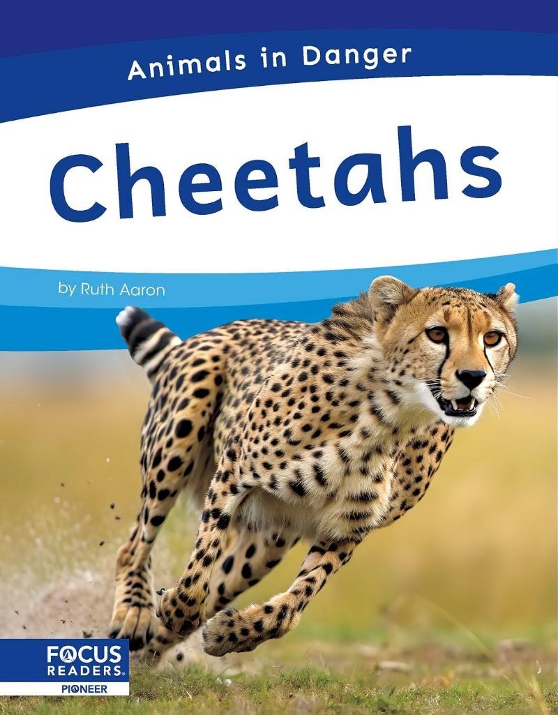 Animals In Danger: Cheetahs/Product Detail/Childrens