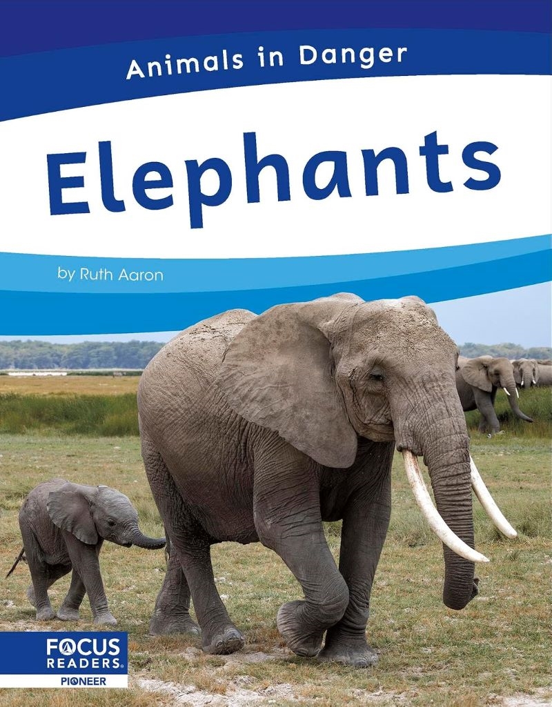 Animals In Danger: Elephants/Product Detail/Childrens