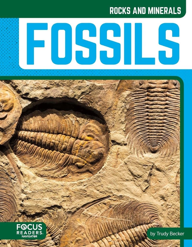 Rocks And Minerals: Fossils/Product Detail/Childrens