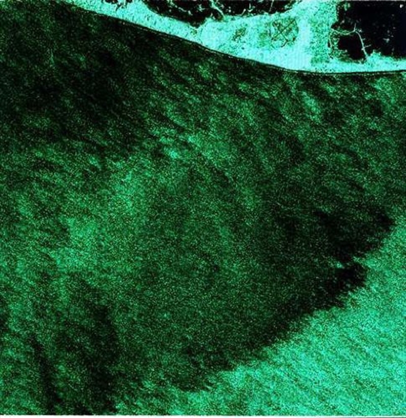 Plays Hubert Fichte/Product Detail/Rock/Pop