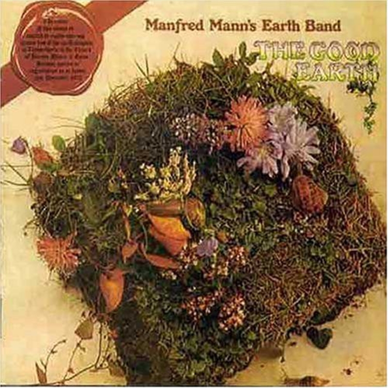 Good Earth/Product Detail/Rock