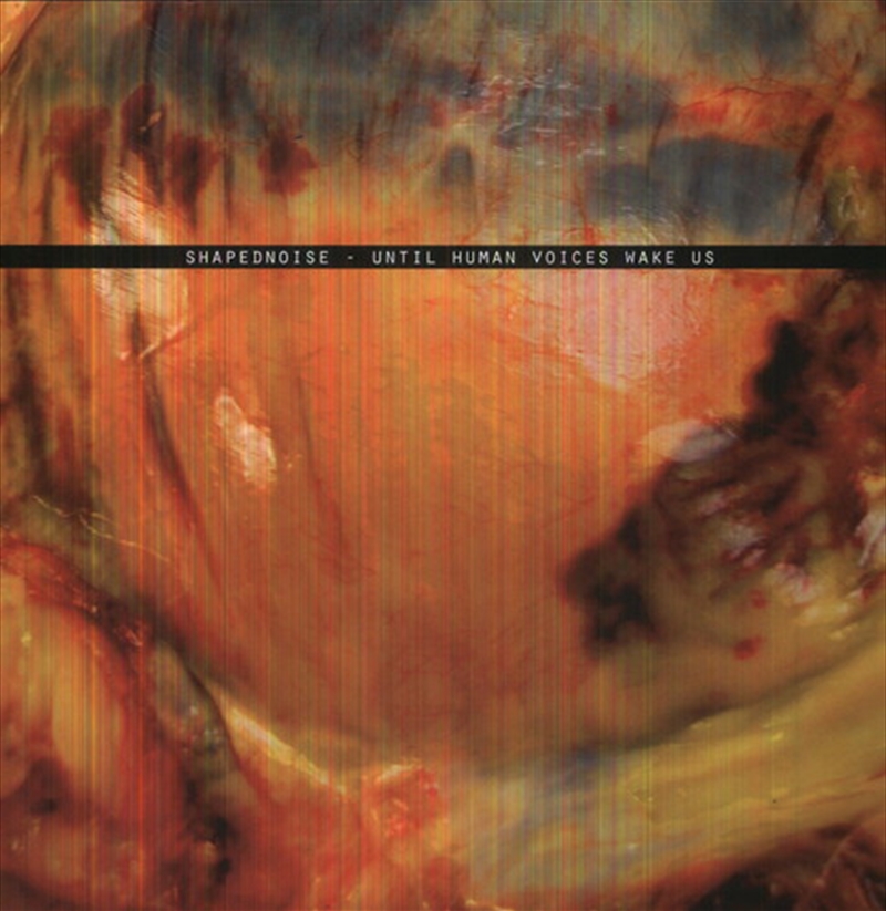 Until Human Voices Wake Us/Product Detail/Dance