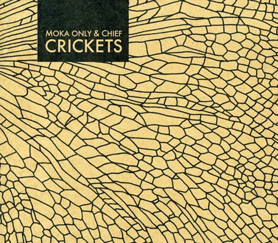 Crickets/Product Detail/Rap