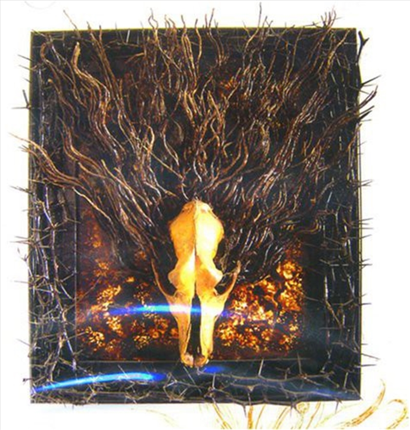 Exalted Are The Seven Throne/Product Detail/Dance