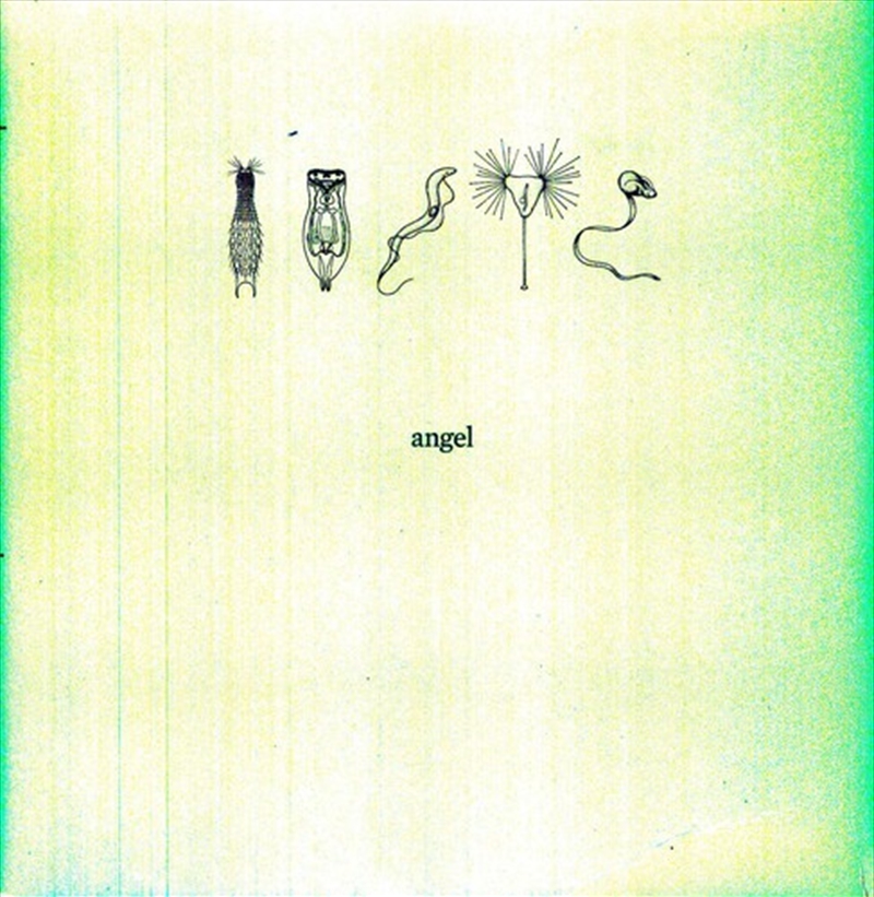 26000/Product Detail/Rock/Pop